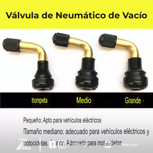 Válvula para vehículos eléctricos pequeños, medianos, grandes